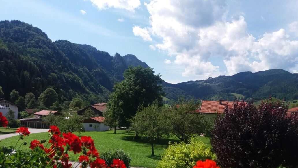 Haus Wiesenblick Oberwössen Eksteriør billede